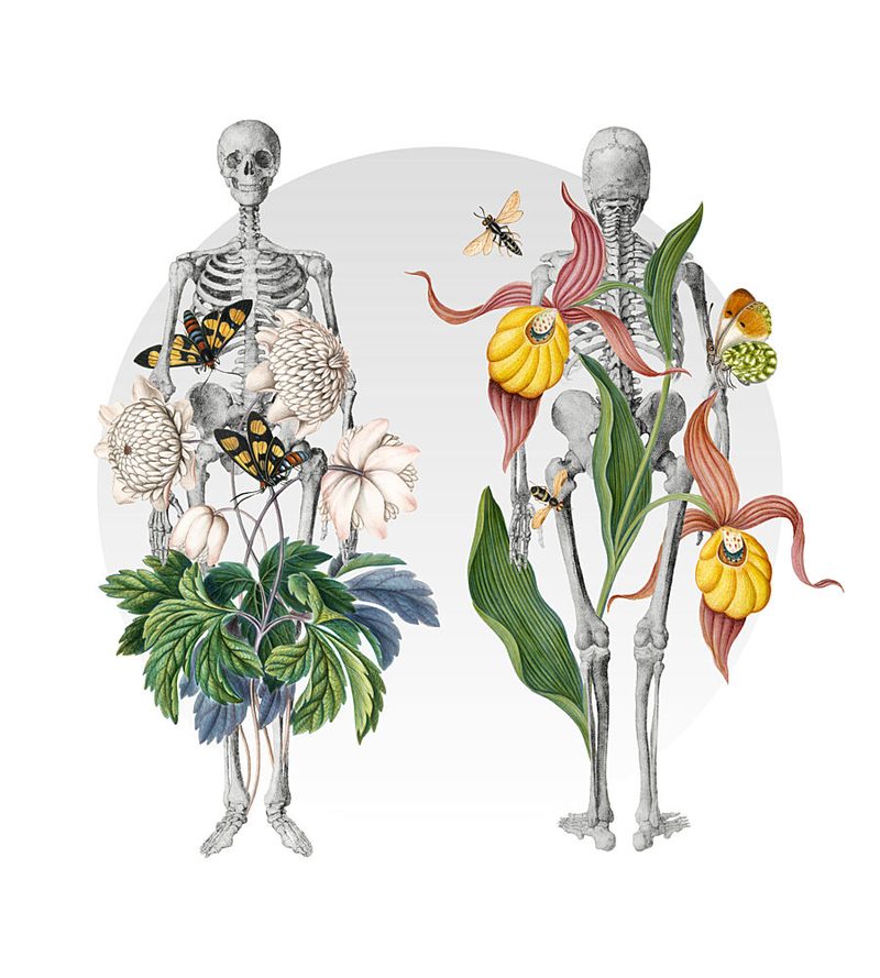 Botanical Skeleton Studies art print by Marja van den Hurk for $57.95 CAD