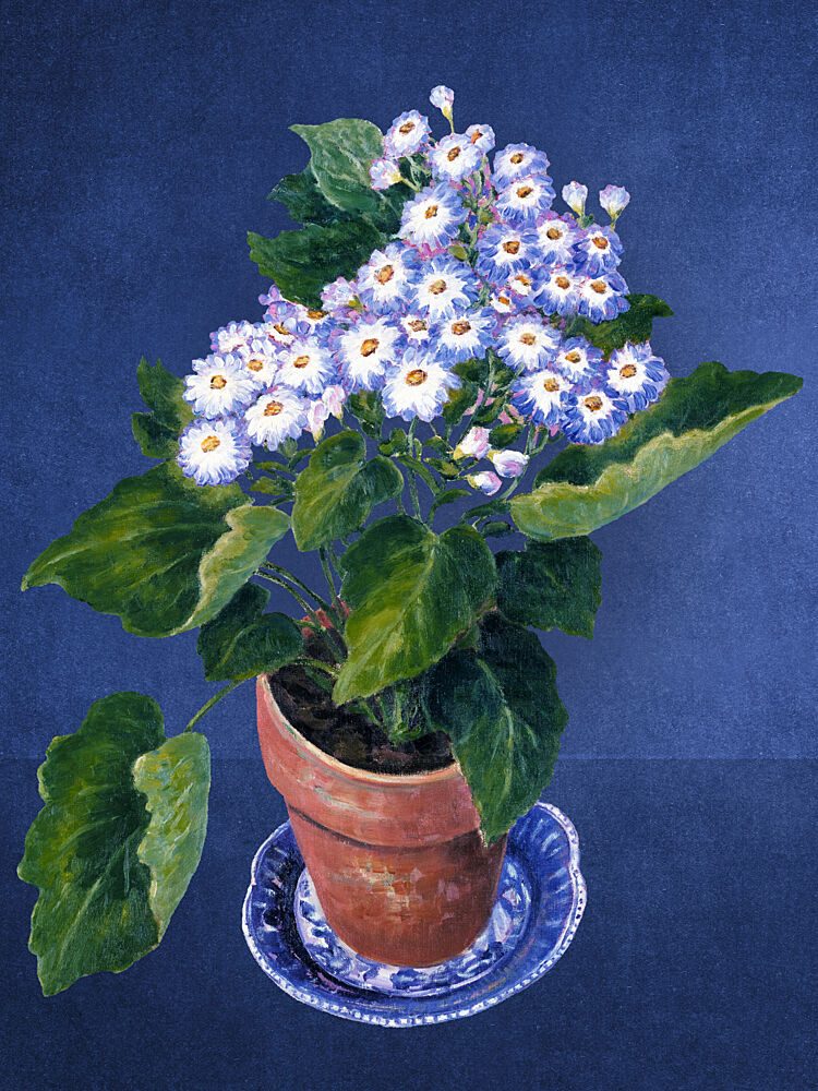 Potted Blue Flowers art print by Marja van den Hurk for $57.95 CAD
