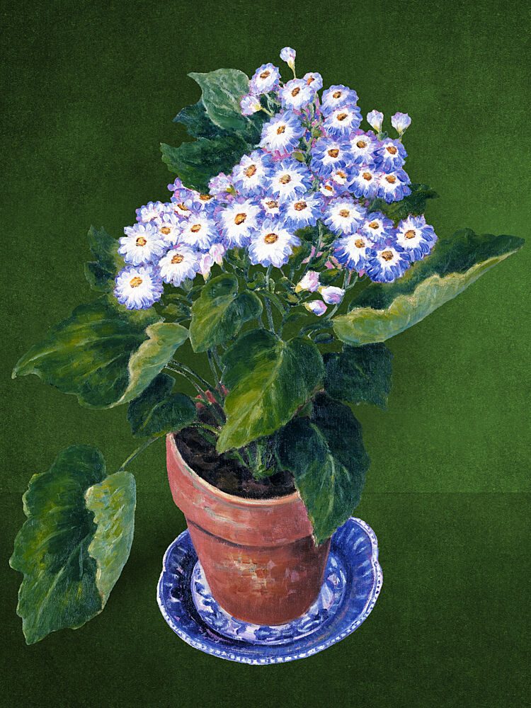 Vibrant Potted Flowers art print by Marja van den Hurk for $57.95 CAD