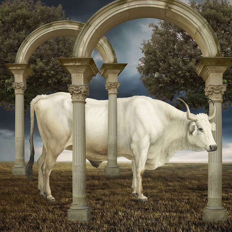 Serene White Bull Arches art print by Marja van den Hurk for $57.95 CAD