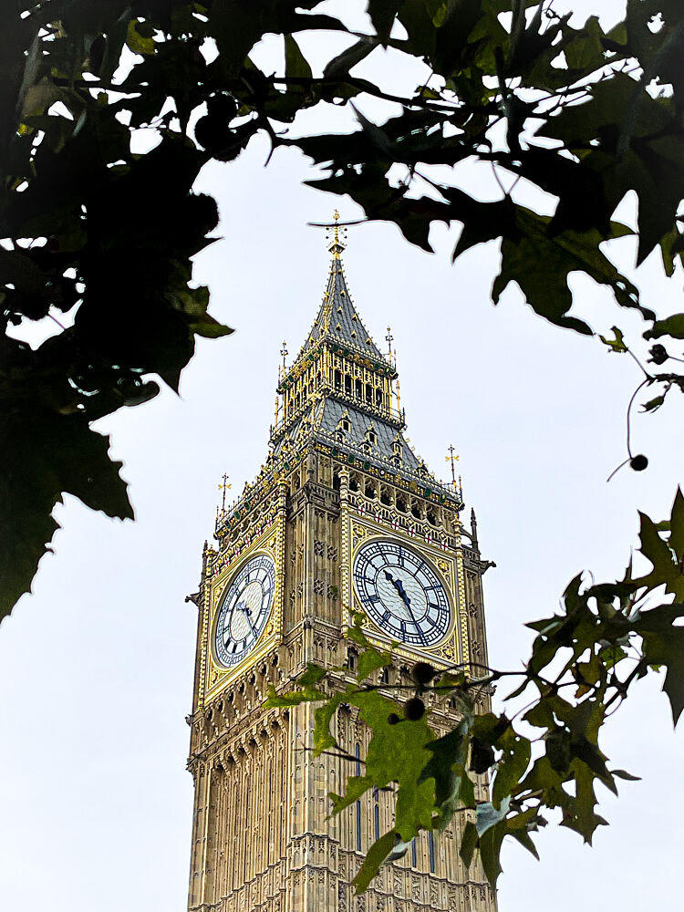 Big Ben Through Leaves art print by Patrick Muthui for $57.95 CAD