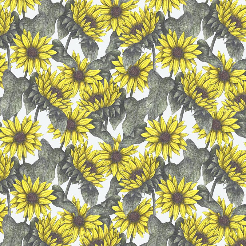 Cheerful Yellow Sunflowers art print by Cecilia Battaini for $57.95 CAD