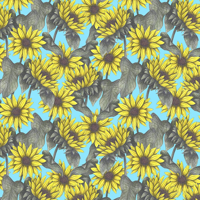 Cheerful Sunflower Pattern art print by Cecilia Battaini for $57.95 CAD