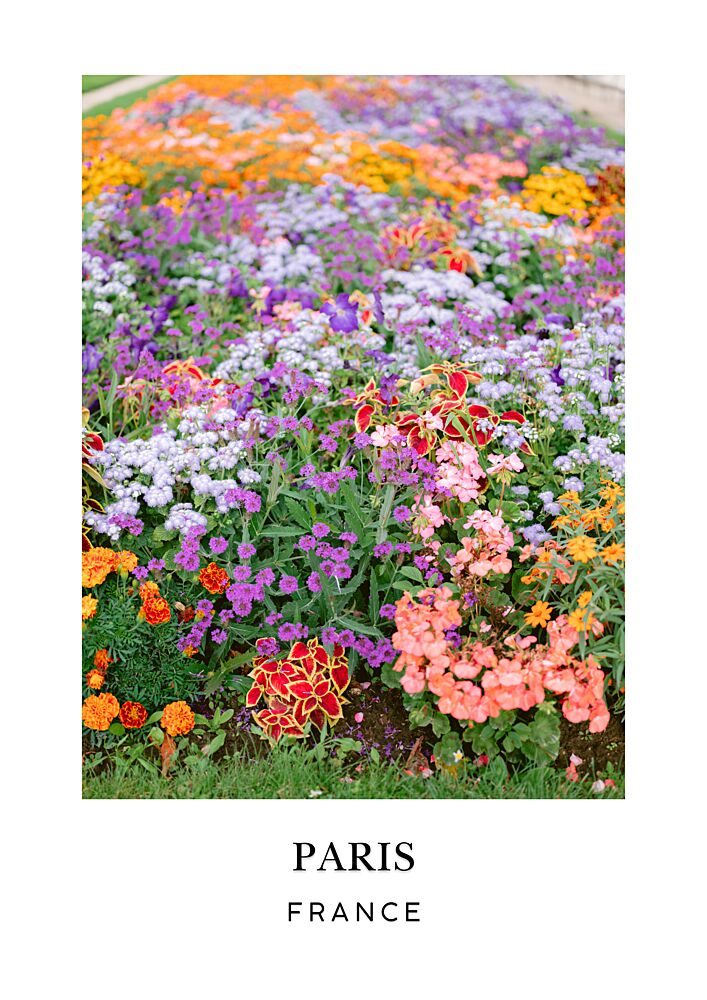 Paris Floral Travel Poster art print by Raisa Zwart for $57.95 CAD