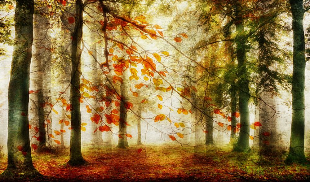 Golden Autumn Path art print by Hilda van der Lee for $57.95 CAD