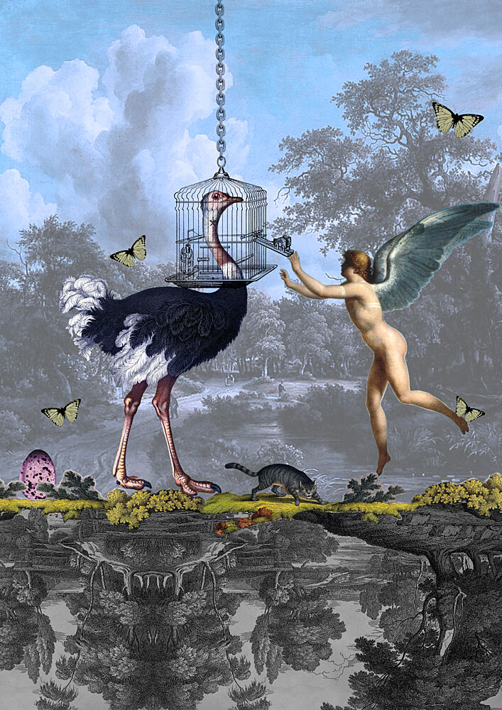 Surreal Ostrich Angel Dream art print by Pascal Bouchet-Spiegel for $57.95 CAD