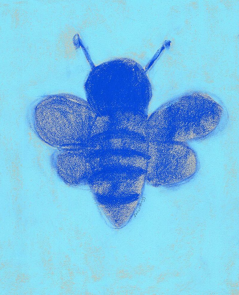 Blue Bee Sketch art print by Janel Bragg for $57.95 CAD