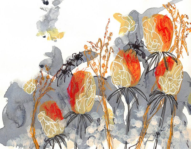 Orange Banksia with Spiders art print by Lori Ann Folz for $57.95 CAD