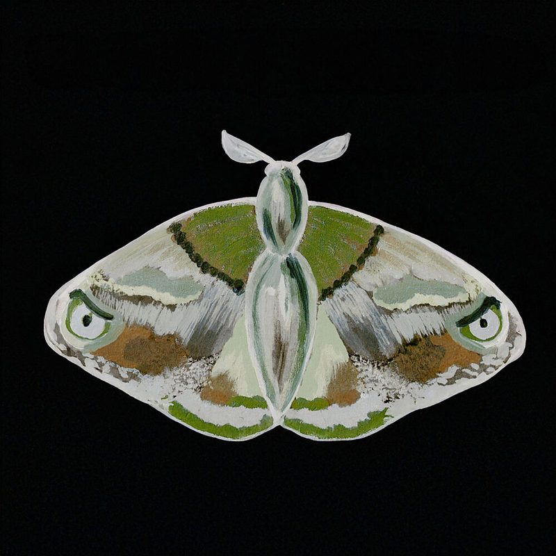 Striking Green Moth art print by Lori Ann Folz for $57.95 CAD