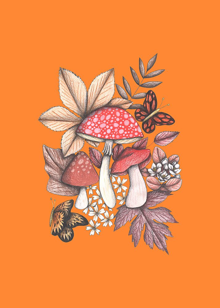 Autumn Woodland Mushrooms art print by Cecilia Battaini for $57.95 CAD