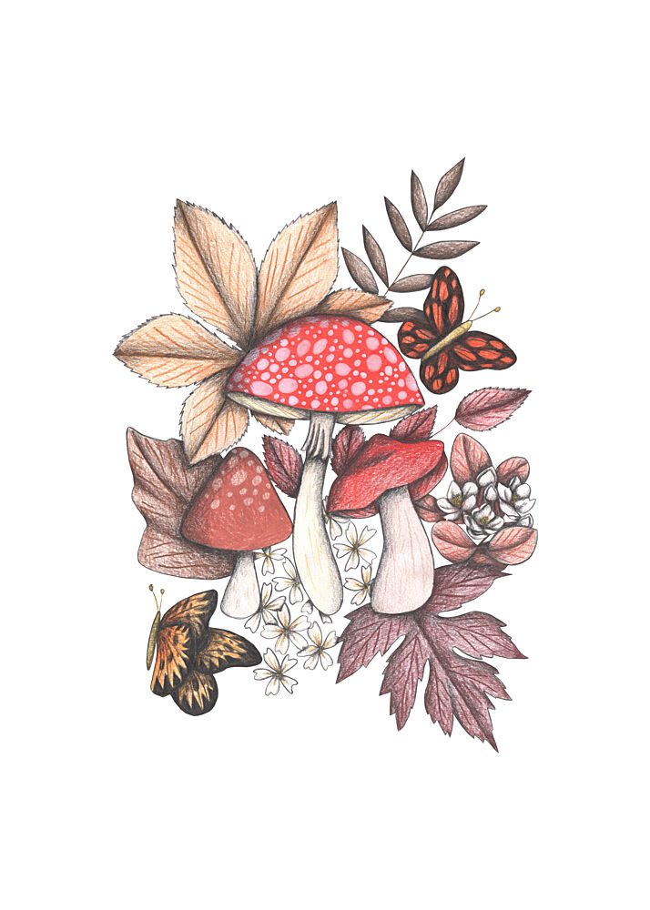 Woodland Mushroom Butterflies art print by Cecilia Battaini for $57.95 CAD