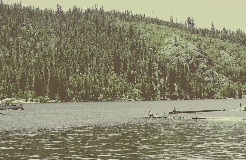 Historic Forest Log Transport art print by Gemma Bardot for $57.95 CAD