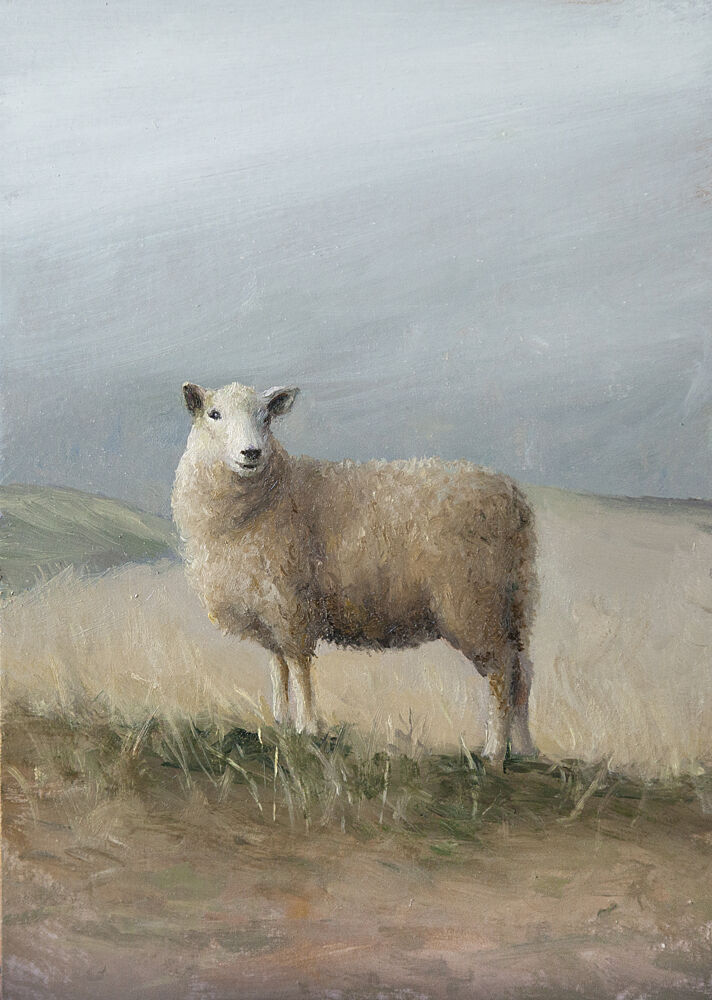 Pastoral Sheep art print by James Zamora for $57.95 CAD