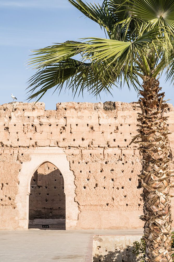 Marrakech Old Wall Palm art print by Photolovers for $57.95 CAD