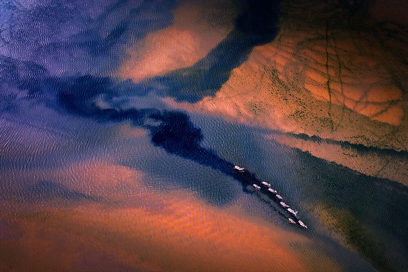 Pink Flamingos River Delta art print by Songlin Xu for $57.95 CAD