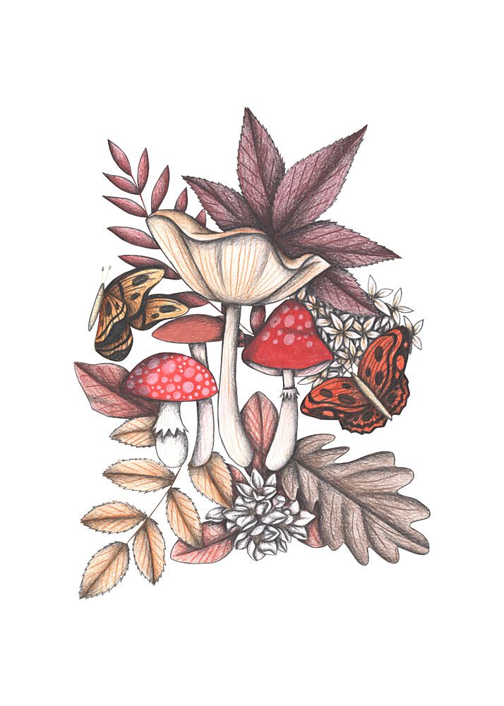 Whimsical Mushroom Gathering art print by Cecilia Battaini for $57.95 CAD