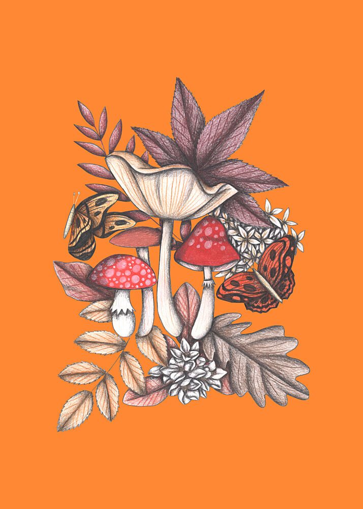 Autumn Mushroom Butterflies art print by Cecilia Battaini for $57.95 CAD