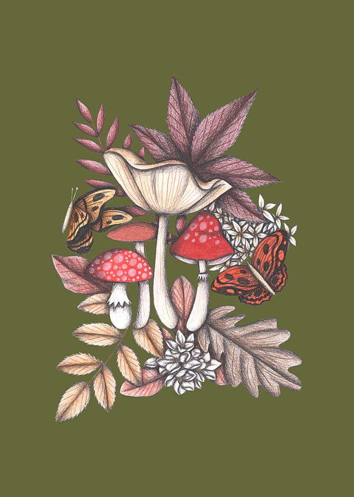 Woodland Mushroom Delights art print by Cecilia Battaini for $57.95 CAD
