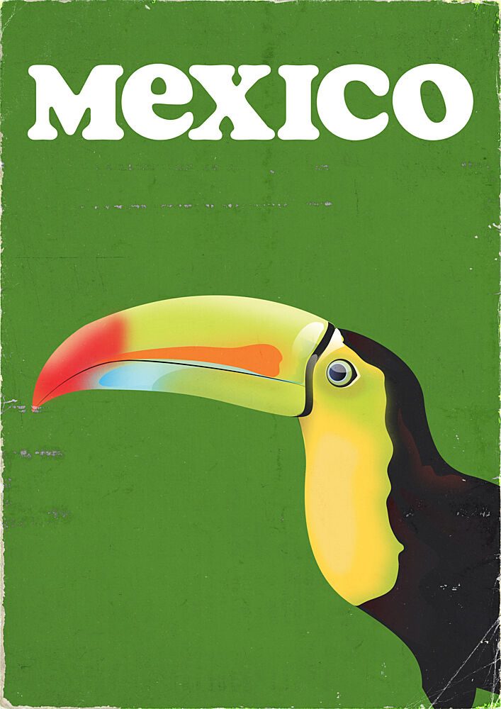 Vintage Mexico Toucan art print by Nicholas for $57.95 CAD