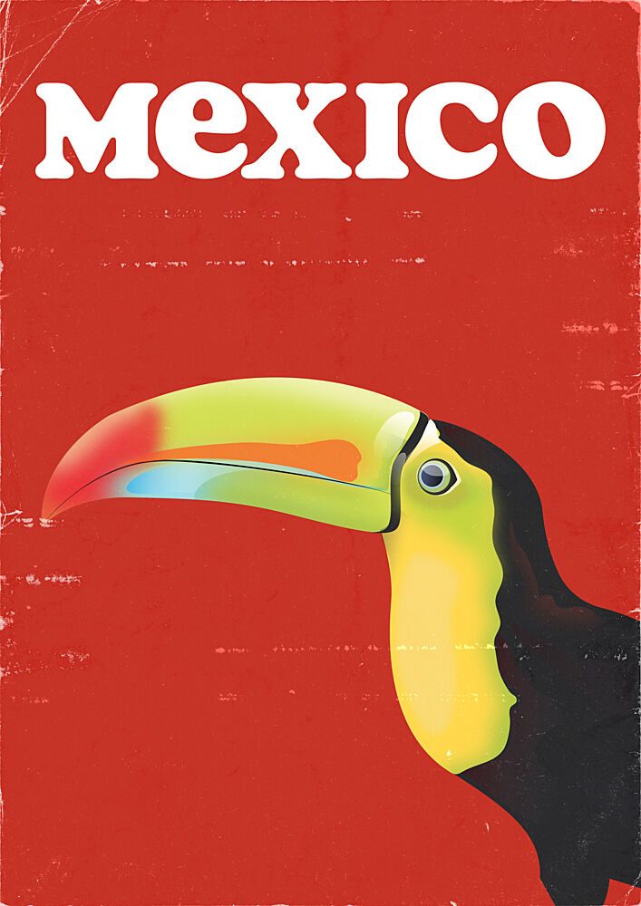 Vibrant Mexico Toucan art print by Nicholas for $57.95 CAD