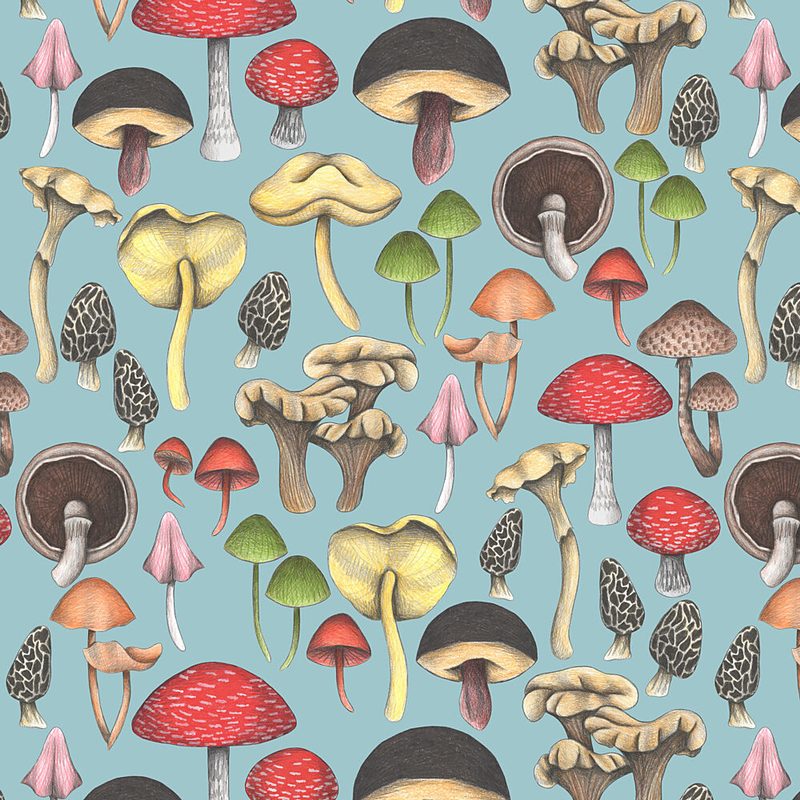 Colorful Forest Fungi art print by Cecilia Battaini for $57.95 CAD
