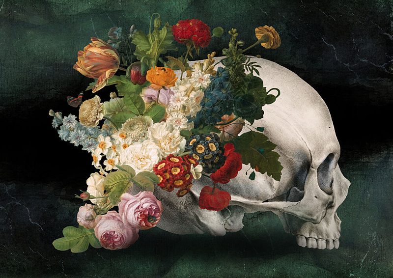 Dark Floral Skull Bloom art print by Marja van den Hurk for $57.95 CAD