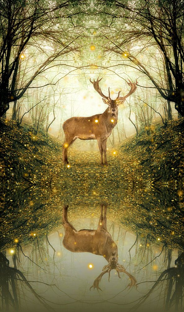 Enchanted Deer Reflection art print by Marja van den Hurk for $57.95 CAD