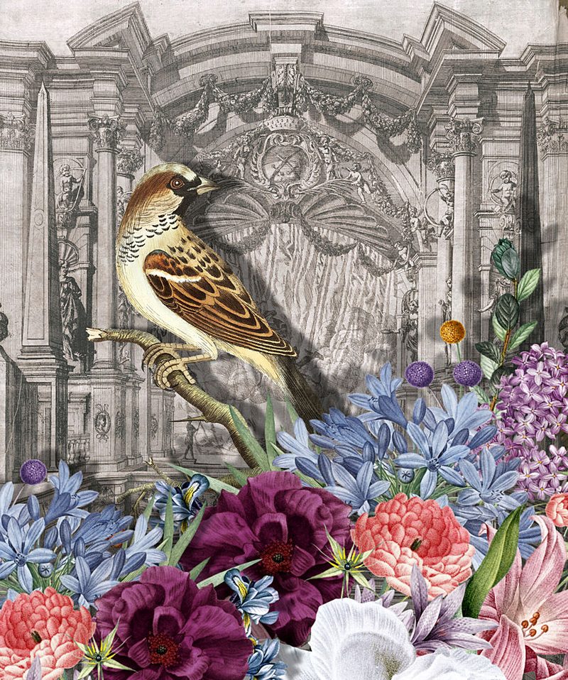 Sparrow and Vibrant Blooms art print by Marja van den Hurk for $57.95 CAD
