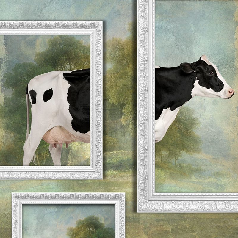 Whimsical Framed Cow art print by Marja van den Hurk for $57.95 CAD