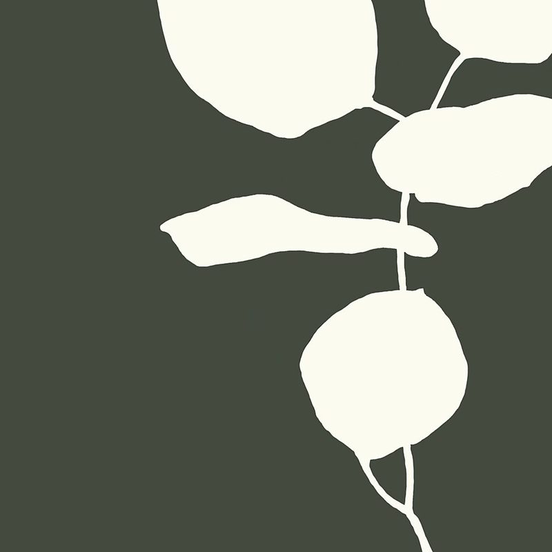 Serene Plant Study art print by Andrea Reichhart for $57.95 CAD
