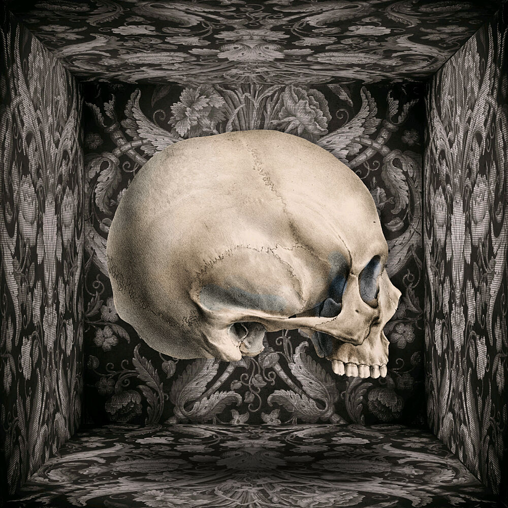 Dark Ornate Skull art print by Marja van den Hurk for $57.95 CAD