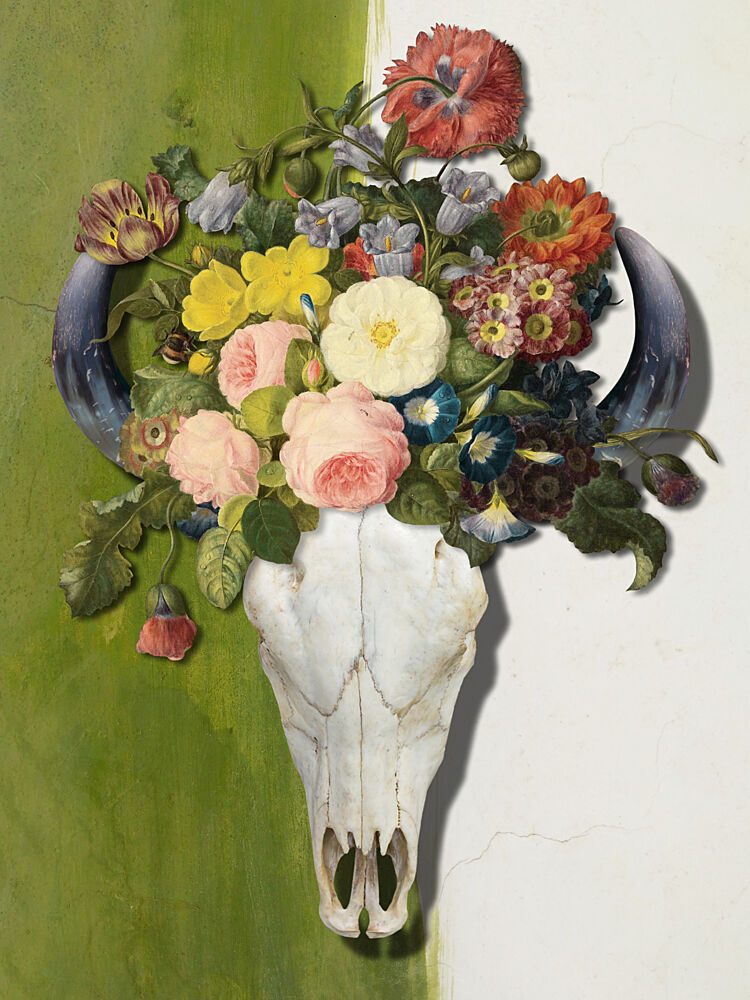 Blooming Bull Skull art print by Marja van den Hurk for $57.95 CAD