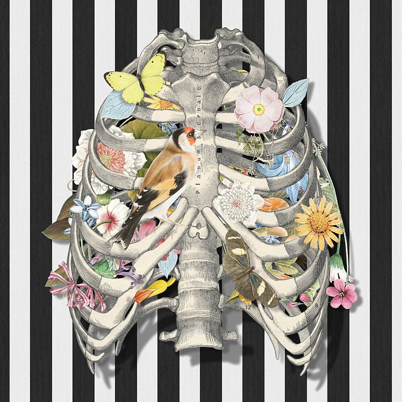 Blooming Rib Cage art print by Marja van den Hurk for $57.95 CAD