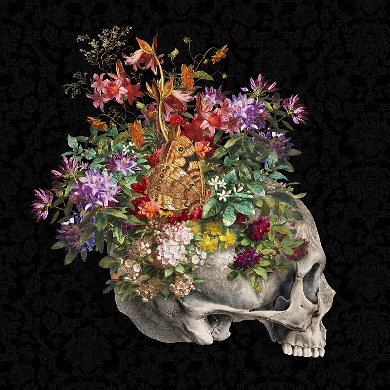Blooming Skull with Butterfly art print by Marja van den Hurk for $57.95 CAD