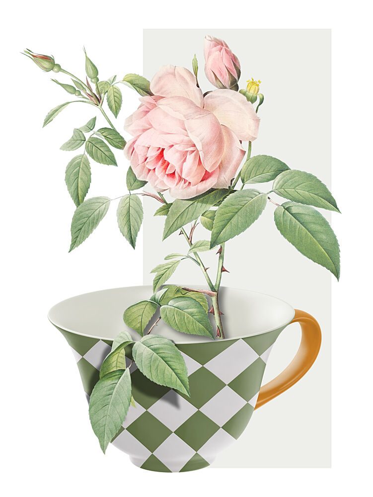Pink Rose Teacup art print by Marja van den Hurk for $57.95 CAD