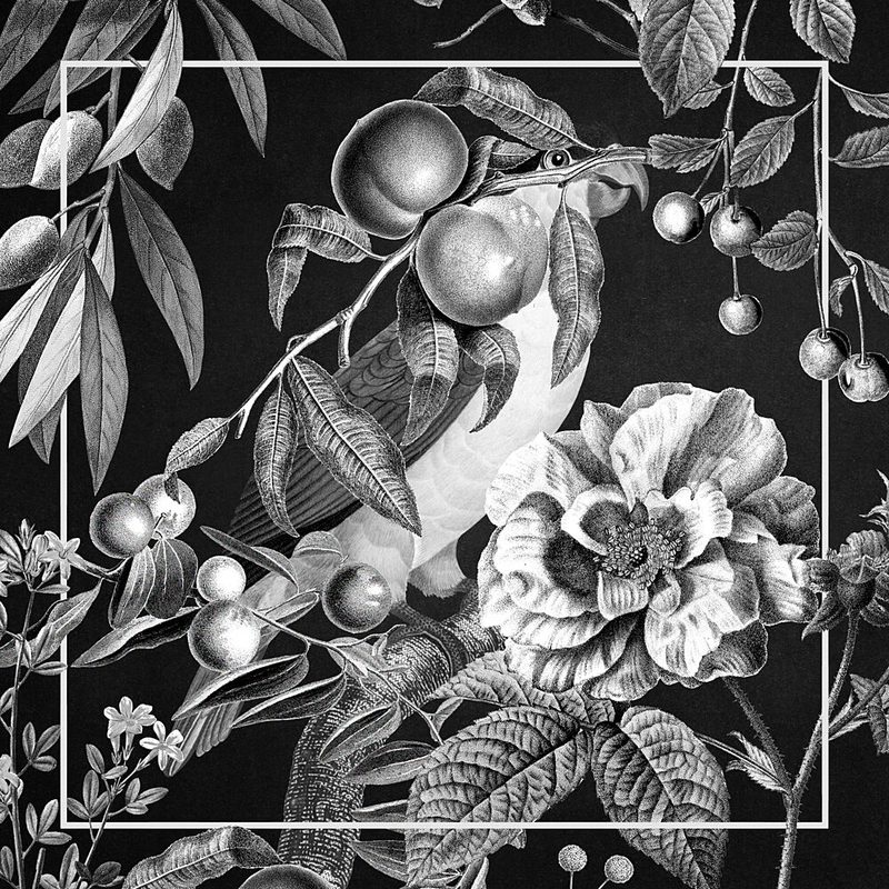 Exotic Botanical Bird art print by Marja van den Hurk for $57.95 CAD