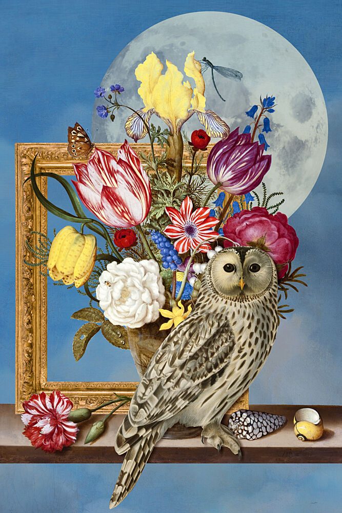 Moonlit Owl and Flowers art print by Marja van den Hurk for $57.95 CAD