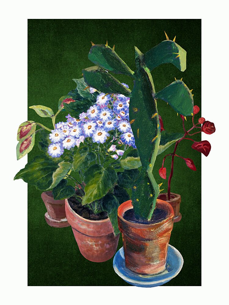 Potted Cactus Flowers art print by Marja van den Hurk for $57.95 CAD