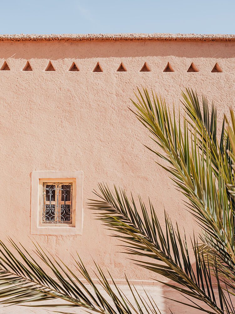 Pink Wall Palm Shadow art print by Photolovers for $57.95 CAD