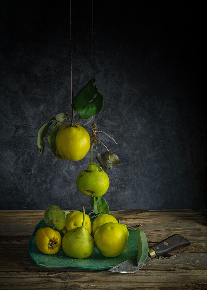 Rustic Quinces Still Life art print by FranzStaab for $57.95 CAD
