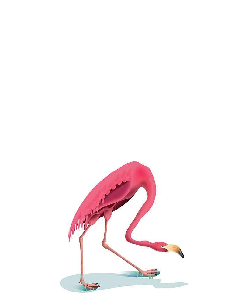 Pink Flamingo Feeding art print by Nicholas for $57.95 CAD