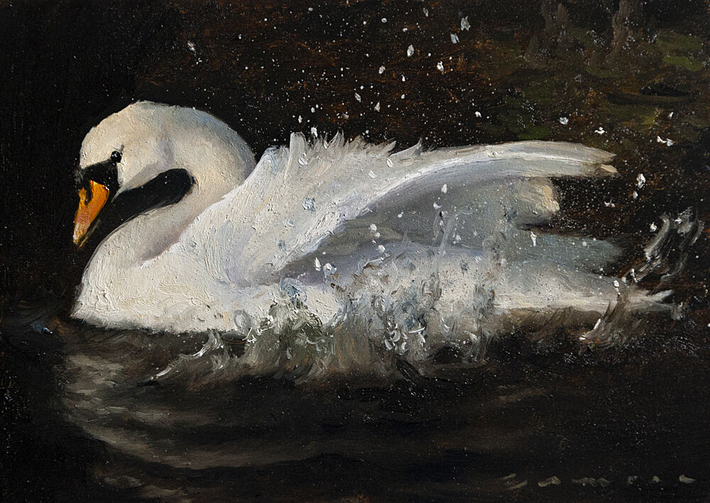 Dancing Swan art print by James Zamora for $57.95 CAD