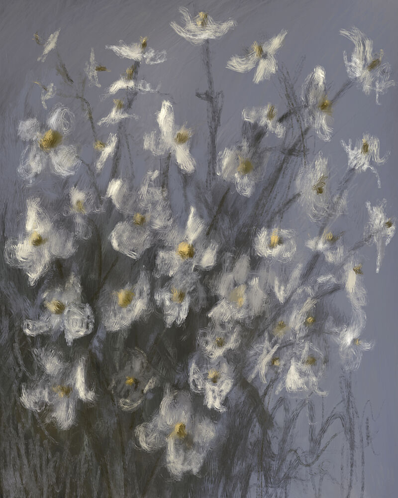 Dreamy White Flowers art print by James Zamora for $57.95 CAD