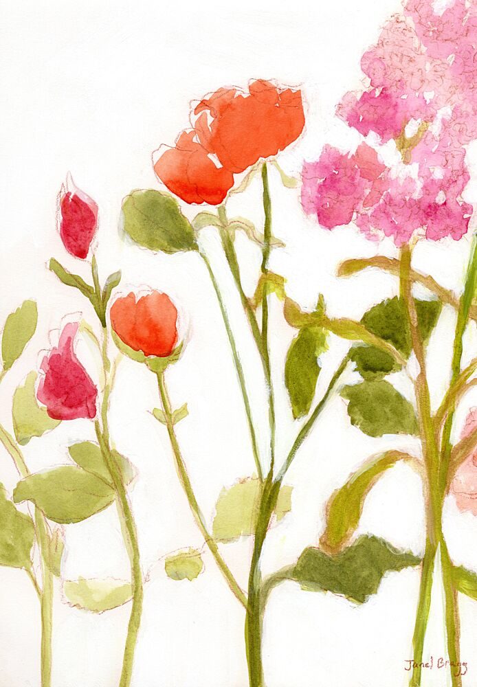 Pink Red Watercolor Blooms art print by Janel Bragg for $57.95 CAD