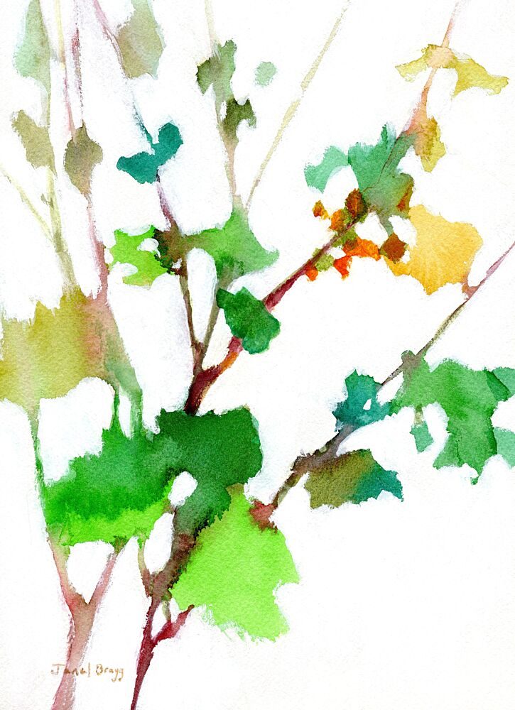 Vibrant Green Foliage art print by Janel Bragg for $57.95 CAD