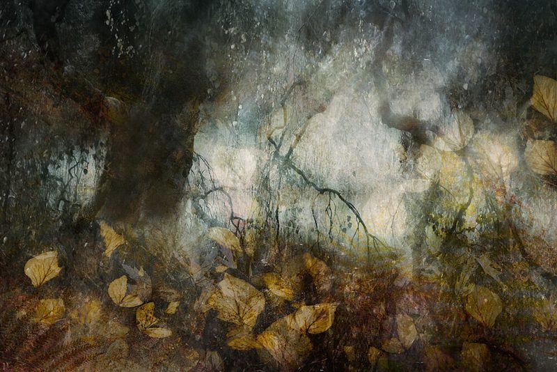 Autumn art print by Nel Talen for $57.95 CAD
