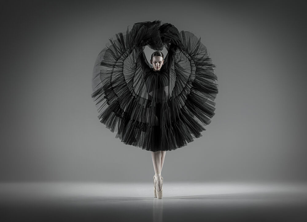 Elegant Dark Ballet art print by Georg Scharf for $57.95 CAD