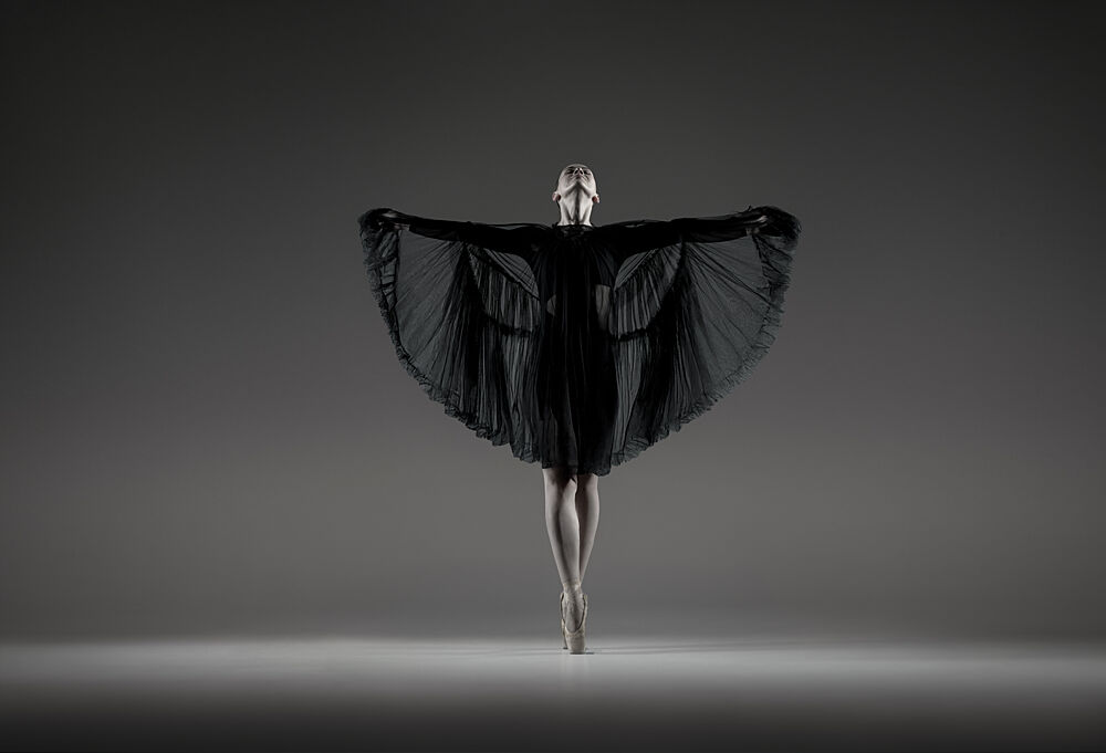 Elegant Ballerina Pose art print by Georg Scharf for $57.95 CAD
