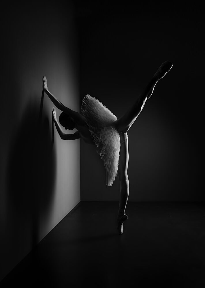 Elegant Ballet Pose art print by Georg Scharf for $57.95 CAD