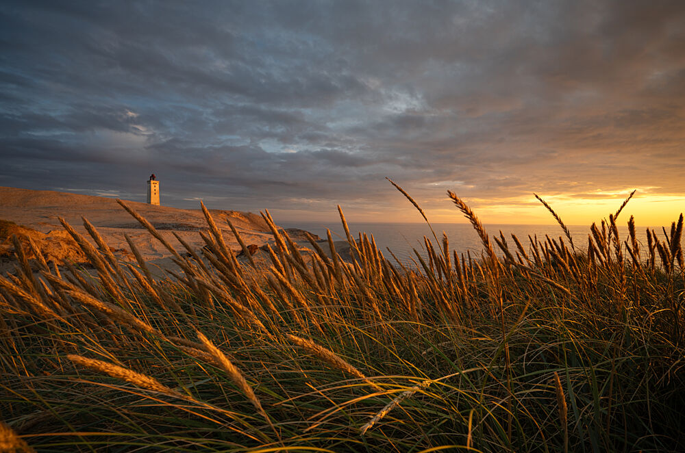 Golden Hour Lighthouse Coast art print by Keller for $57.95 CAD